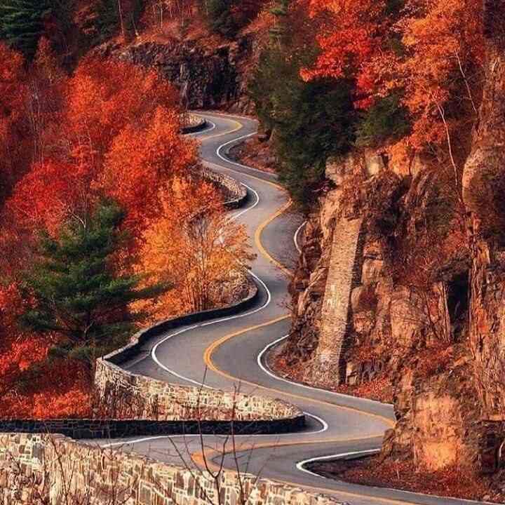 آهنگ جدید بهار پر گله عزیزم پر گل بهاره